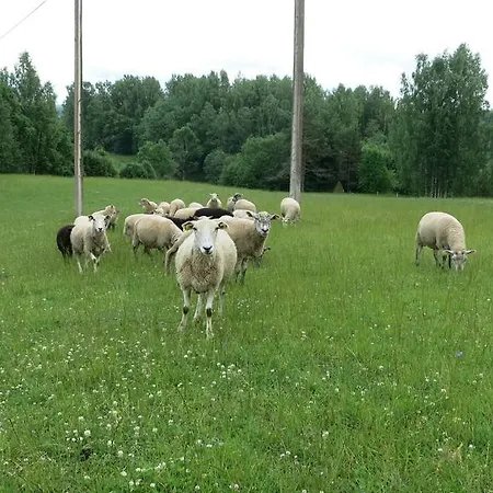 Farm stay Maee Farm Rouge