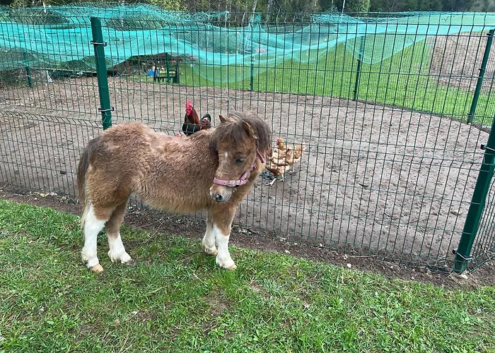 农家乐 美伊农家乐 *