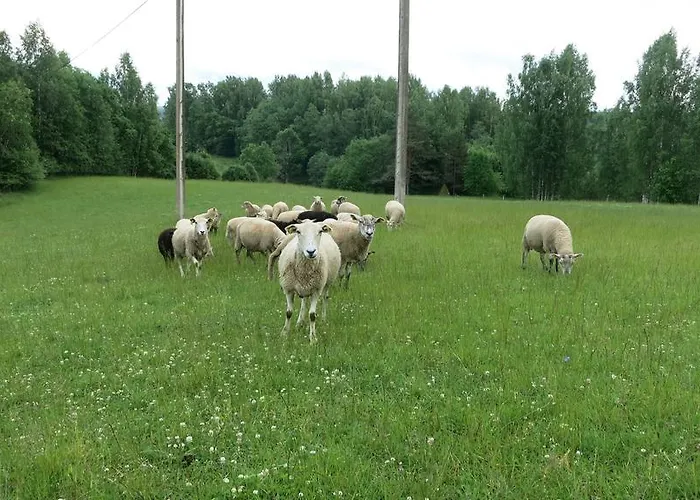 农家乐 美伊农家乐 Rõuge