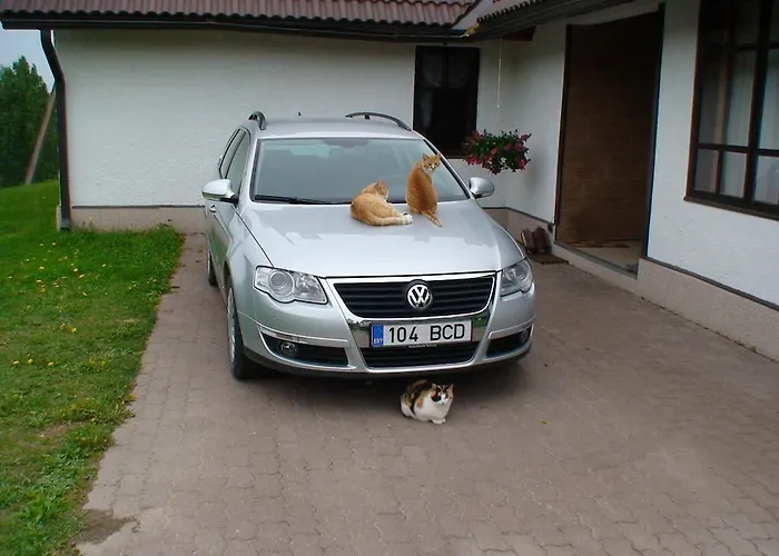 マエ ファーム Rõuge